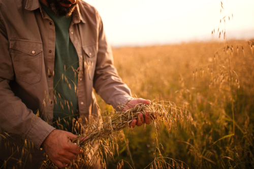 Fund farming without a bank